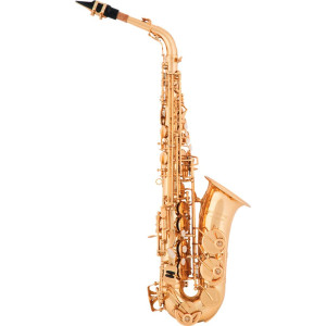 Saxofón alto ARNOLDS & SONS AAS-110YG